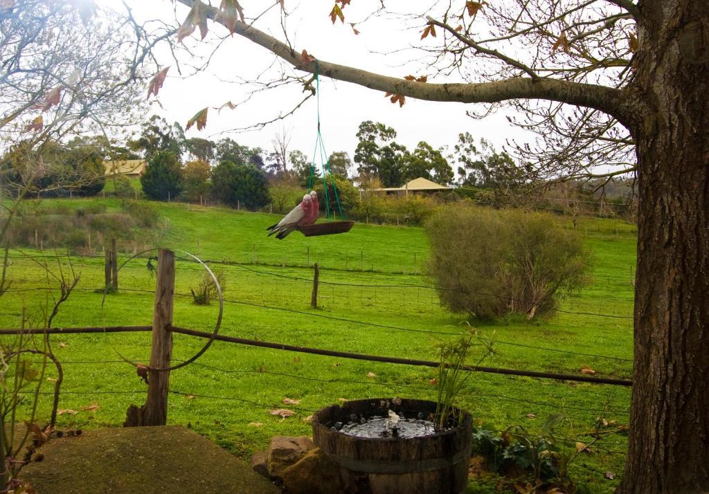 Bed and Breakfast Amble at Hahndorf Zimmer foto