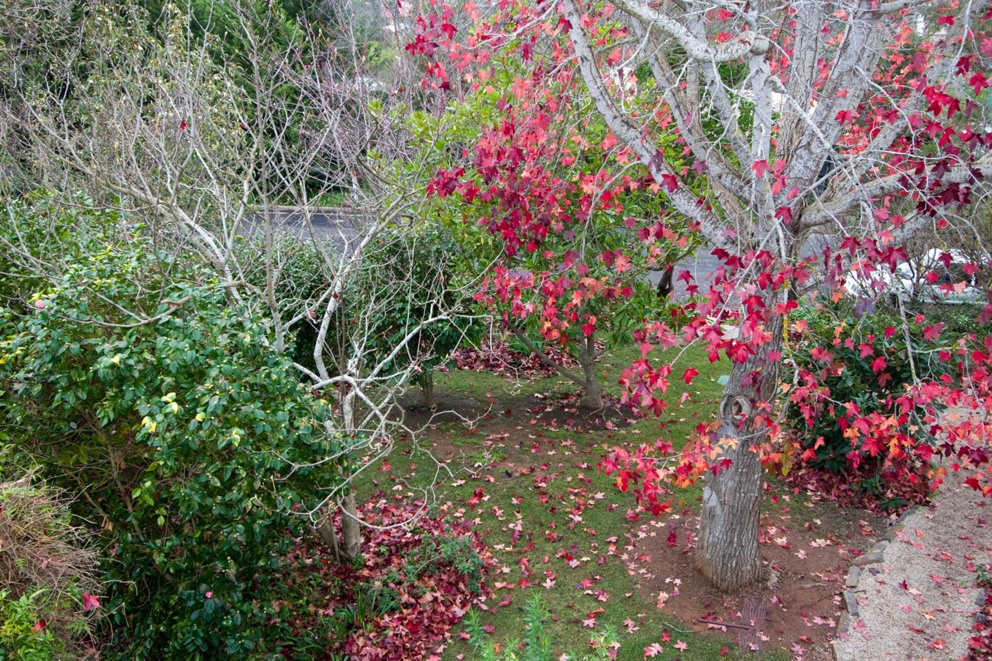 Bed and Breakfast Amble at Hahndorf Exterior foto